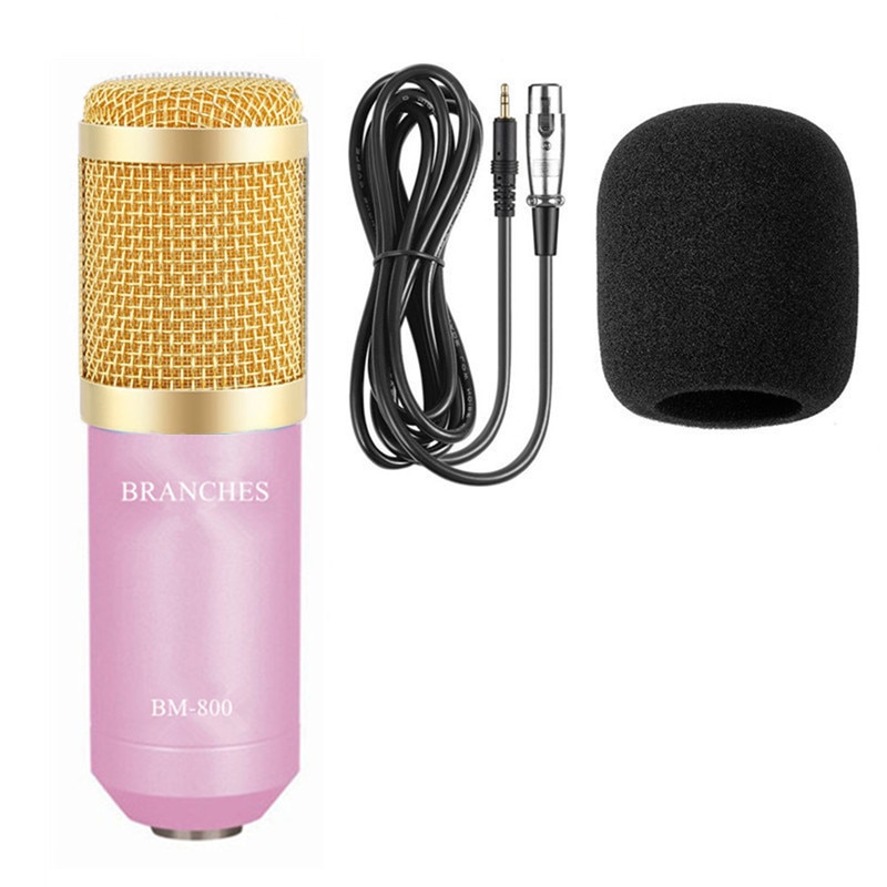 Professional Condenser Microphone
