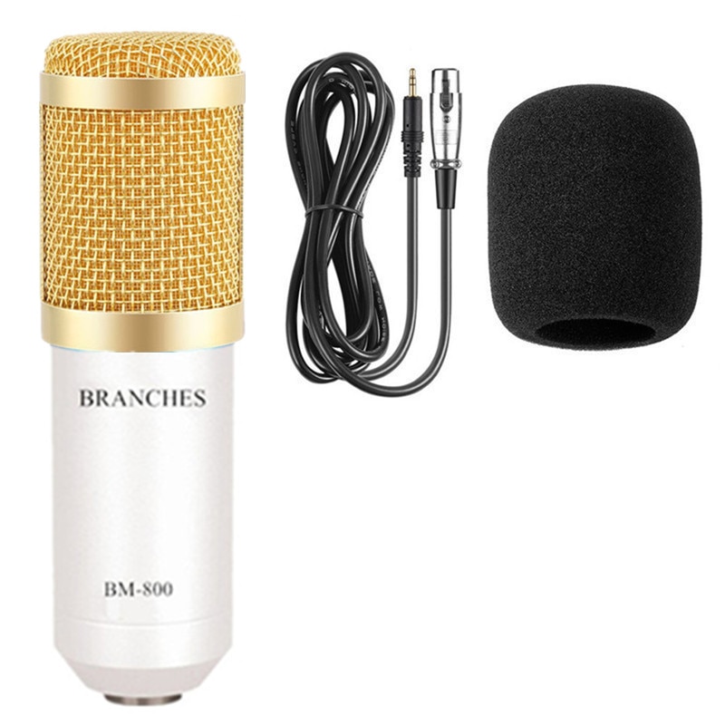 Professional Condenser Microphone