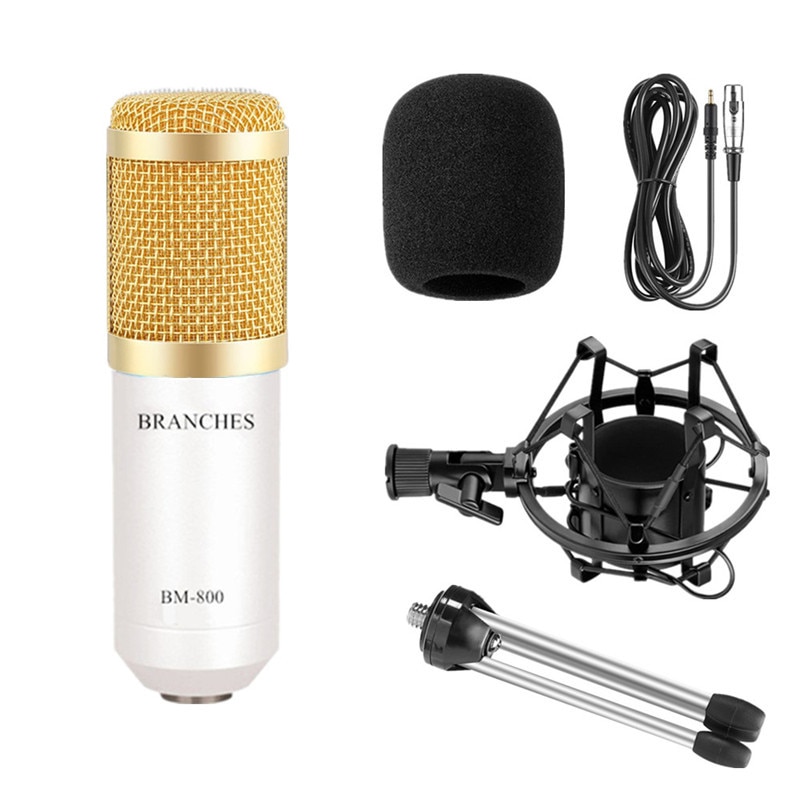 Professional Condenser Microphone