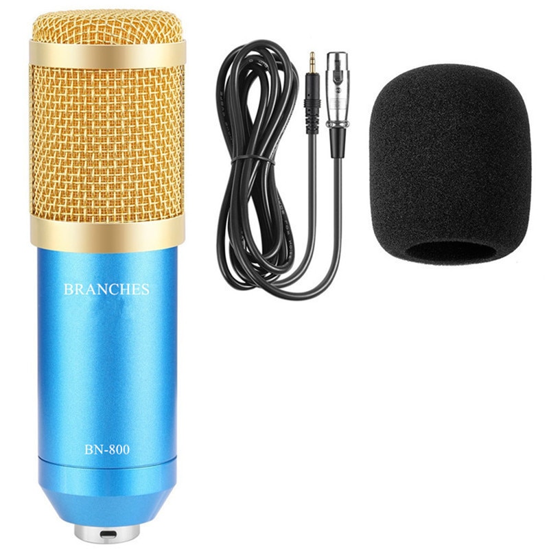 Professional Condenser Microphone