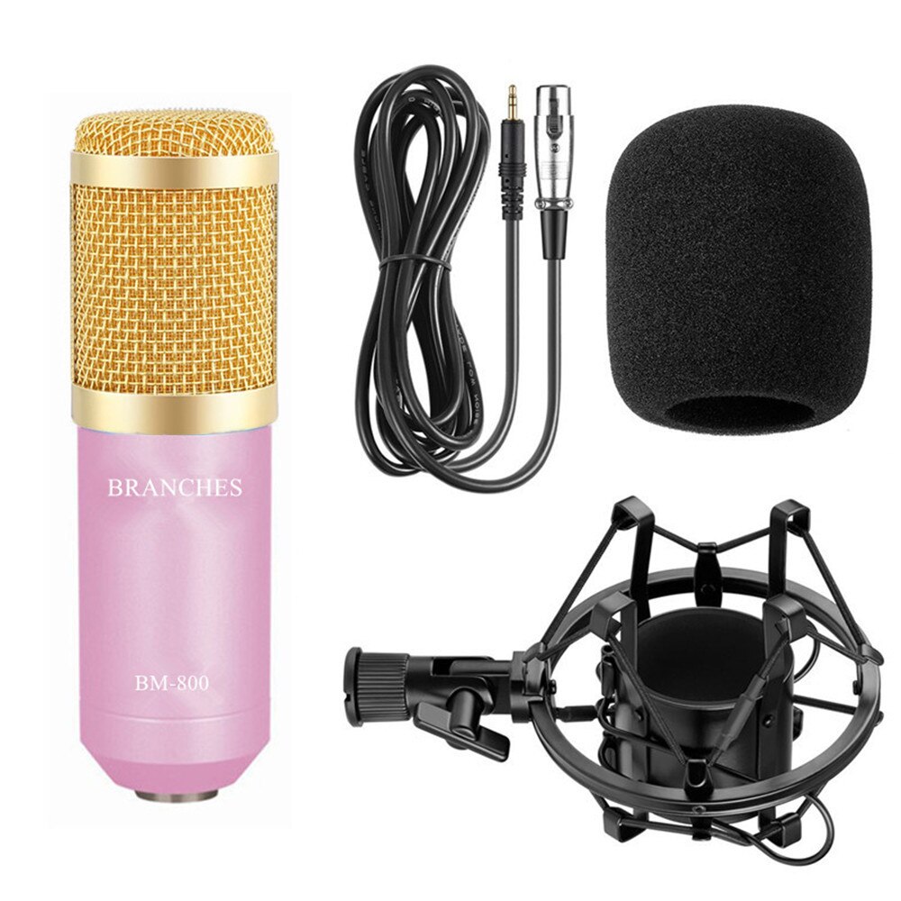Professional Condenser Microphone