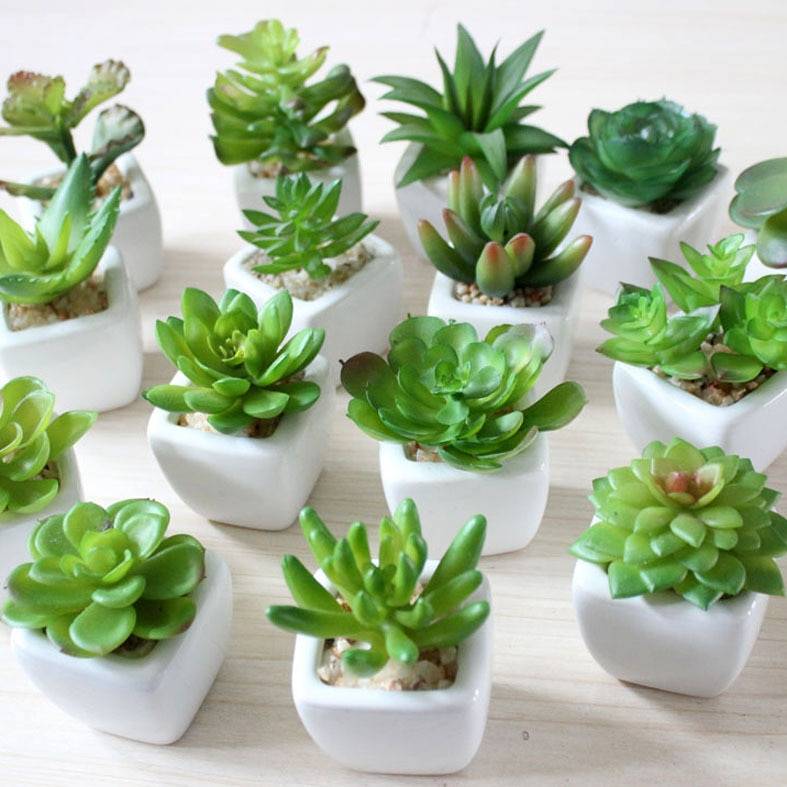 Succulent Ceramic Artificial Flower