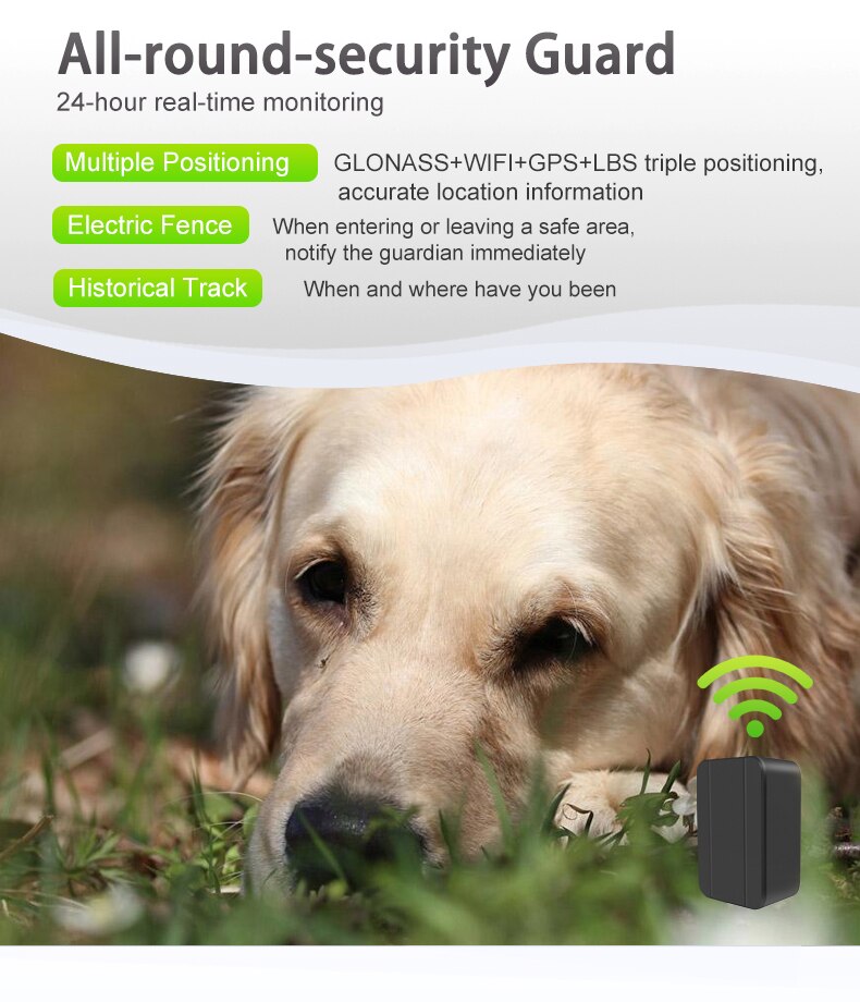 Pets Mini GPS Tracker Locator