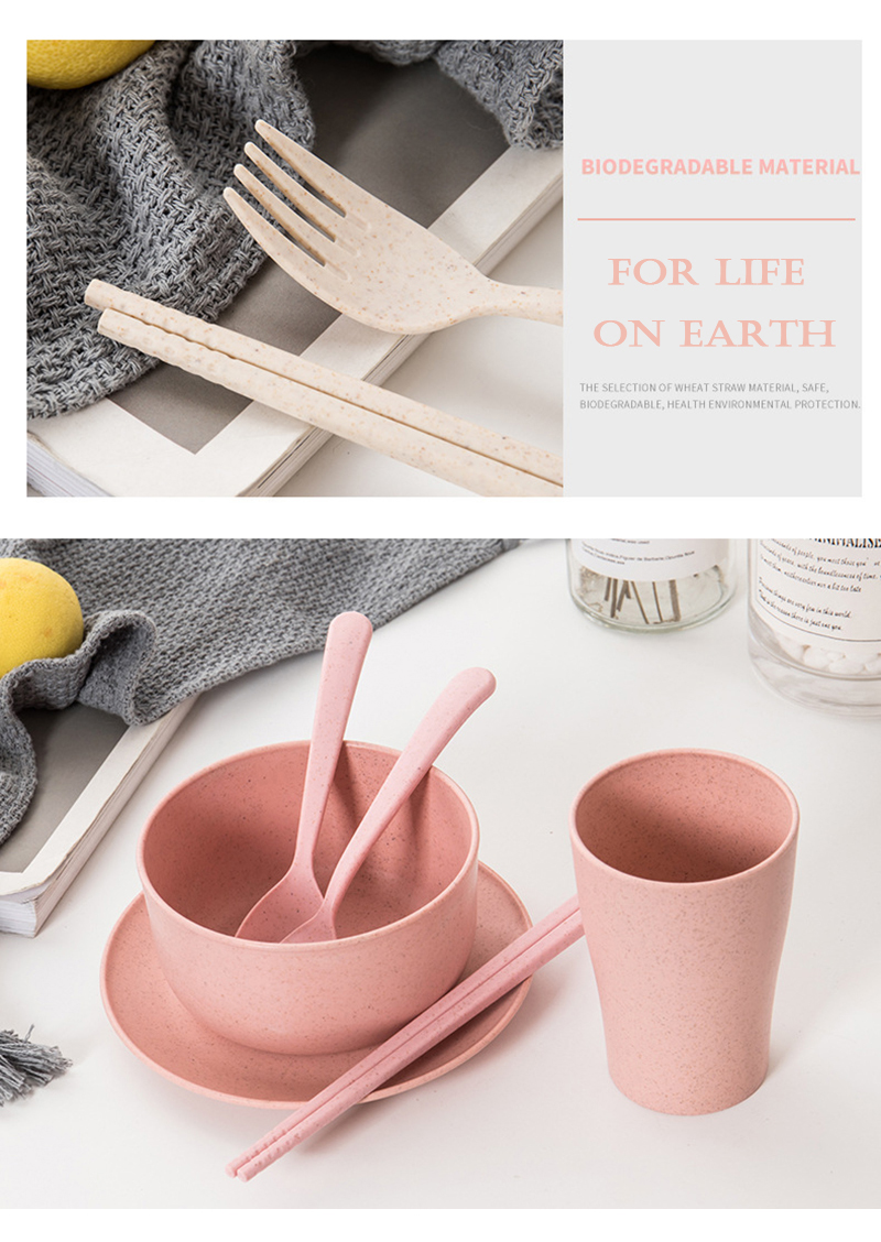 Wheat Straw Eco-Friendly Tableware 6 Pcs Set